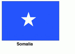 Somalia Police and AU Force Perform Security Sweep in Mogadishu