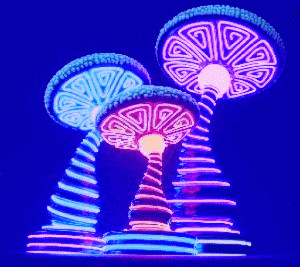 gif trippy psychedelic colors mushroom savannahdarling