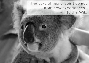 the most inspiring movie travel quotes on cute photos of sleepy koalas