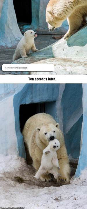Disrespectful Baby Polar Bear