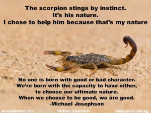 Sand Scorpion Sting But the scorpion stung him