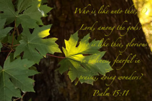 http://www.pics22.com/who-is-like-unto-tree-bible-quote/