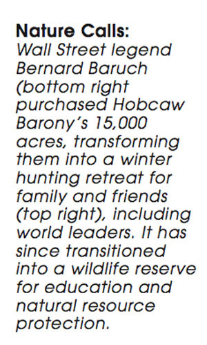 Pin it Like Visit site