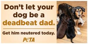 Deadbeat Dad Jokes Dog be a deadbeat dad.