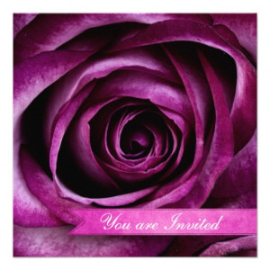 Beautiful Elegant Dramatic Purple Rose with Ribbon Invites