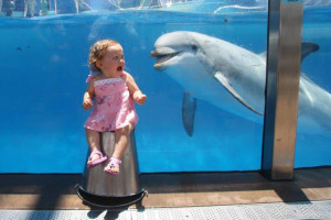 dolphin-photobomb-kid-scared-smile-1349391568S.jpg