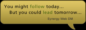 synergy quotes