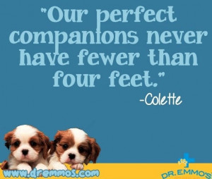 Dogs are perfect companions quote via www.Facebook.com/DrEmmo / www ...