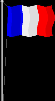 Wele Pages Animated Flags