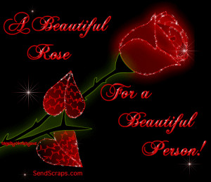 beautiful rose for a beautiful person Images