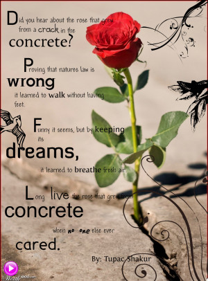 The Rose that Grew from Concrete by Tupac Shakur