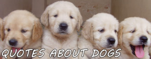 Dogs Quotes. Page with the best quotes about dogs.