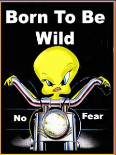 Funny People Pictures