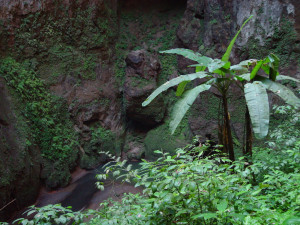 Puerto Rico´s Hidden Caves