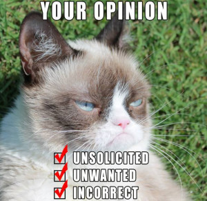 Grumpy Cat Funny 06