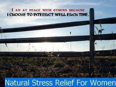 ... stress-relief-women.com/stressmanagementfanclub/ relief quot, stress