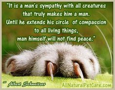 Prevent animal abuse quote (Facebook share graphic)