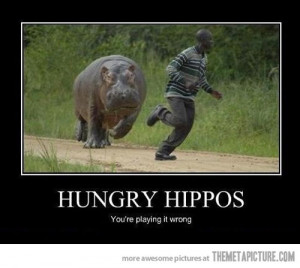 Funny photos funny hungry hippos chasing man