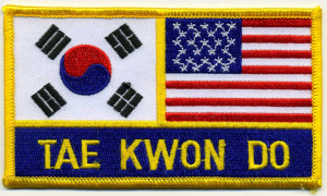 Tae Kwon Do Martial Art Sport Embroidered Patches