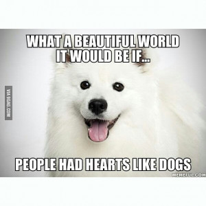 mpi quotes 9gag dogs quote no comments