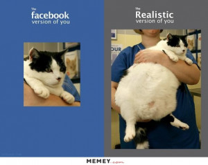 funny facebook photograph fat cat