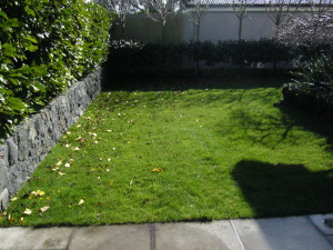 After a quick & easy Readylawn installation your space is transformed!