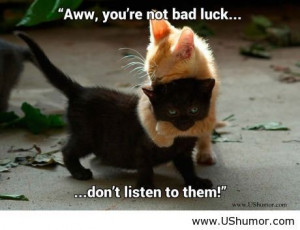 Black cats, not bad luck US Humor - Funny pictures, Quotes, Pics, P...