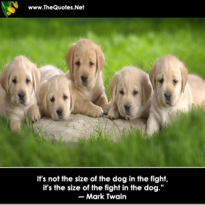 It is not the size of the dog in the fight, it is the size of the ...