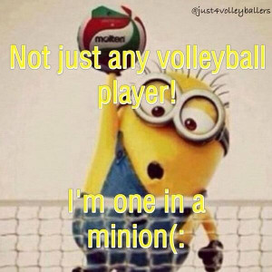 volleyball minion