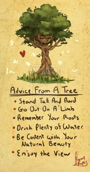 Advice from a tree. Stand Tall and Proud. Go out on a limb. Remeber ...