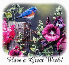 Have a great week! nature flowers bird gif wildlife days of the week ...