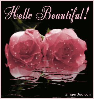 hello_beautiful_2_pink_roses_with_raindrops.gif#hello%20beautiful ...