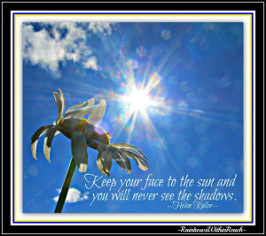 Daisy photo facing the sun with Helen Keller quote