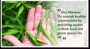 Home > About Us > Mission, Vision and History