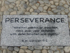 Quotes On Determination And Perseverance