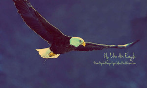 Fulfill your dreams, Fly Like an Eagle and feel free!