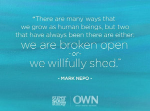 Love this quote by Mark Nepo