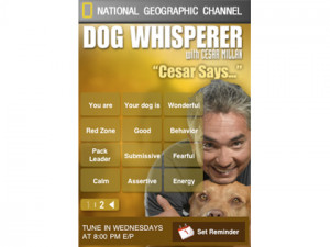 Dog Whisperer 