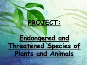 Endangered and Threatened Plants and Animals