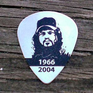 dimebag darrell guitars