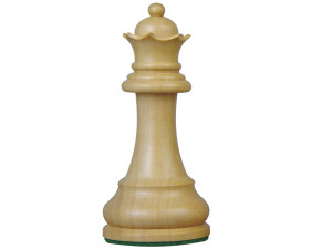 Dgt Plastic Chess Pieces Box