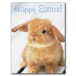 Easter Sayings Cards & More