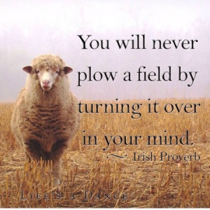 You well never plow a field by turning it over in your mind.