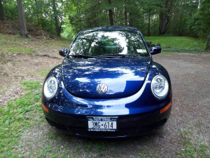 Coupe Bug Beetle Mitula Cars