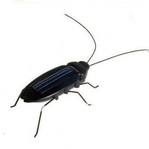 Related Pictures funny cockroach pictures images quotes just jpg