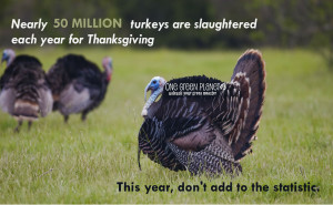 ... Animal Monster 50 Million Reasons to NOT Eat Turkey this Thanksgiving