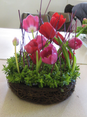 Tulip Flower Arrangements