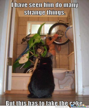 Strange Things...