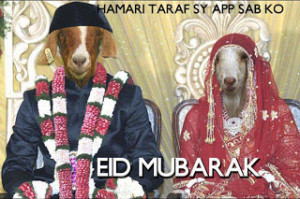 ... More funny urdu quotes by bakra funny eid ul adha urdu | Source Link