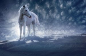snow drifters horse wall mural published may 9 2013 in horse wall ...